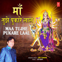 Maa Tujhe Pukare Laal (Single)