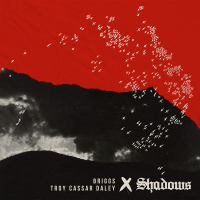 Shadows (Single)