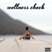 Wellness Check (Single)
