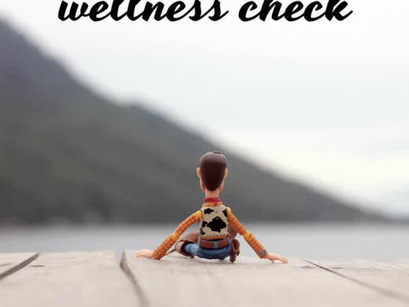 Wellness Check (Single)