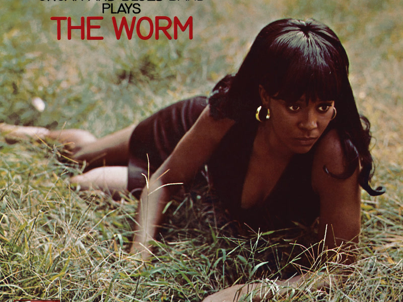 The Worm