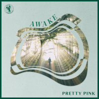 Awake (Single)