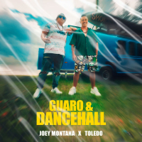 Guaro & Dancehall (Single)