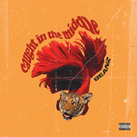 Caught in the Middle (Single)