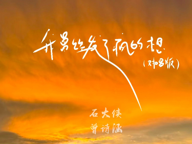 我曾经发了疯的想 (对唱版) (Single)