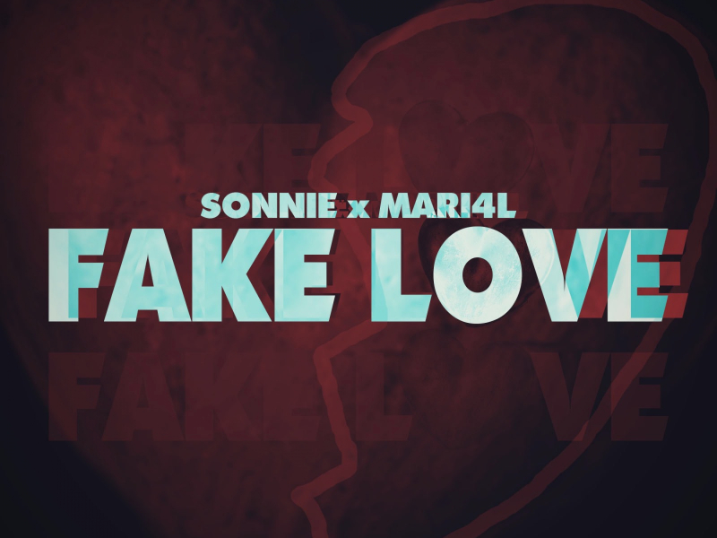 Fake Love (feat. MARI4L)