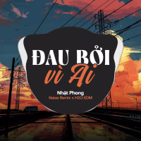 Đau Bởi Vì Ai (EDM) (Single)