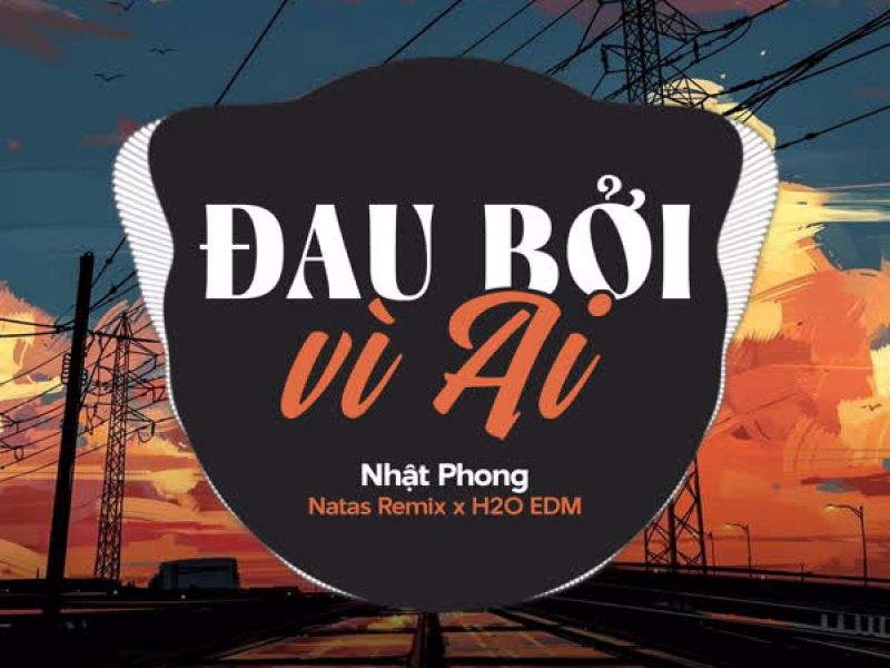 Đau Bởi Vì Ai (EDM) (Single)