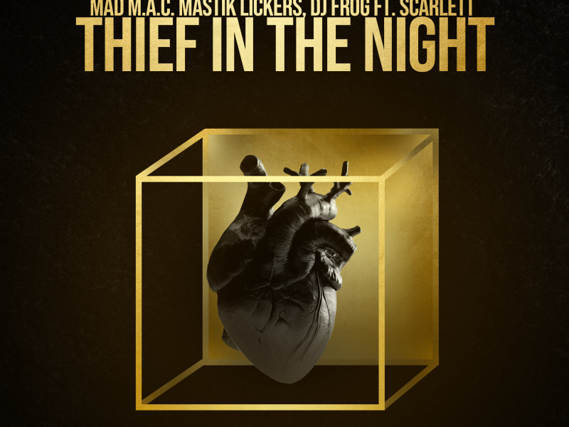 Thief In The Night (Single)
