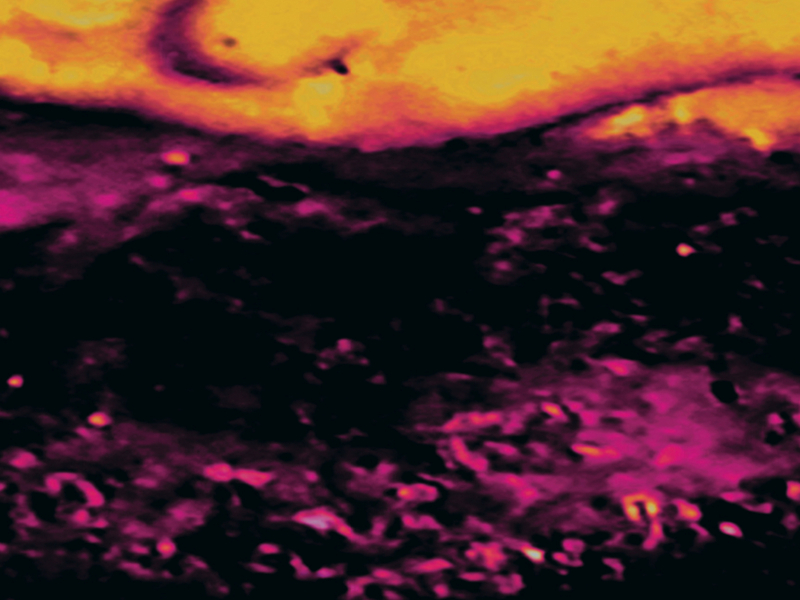 Fountain in the Door