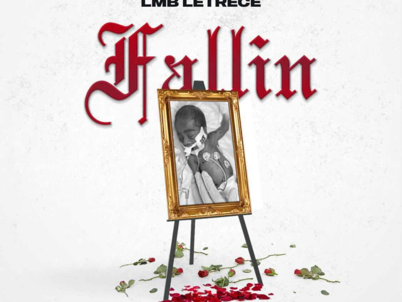 Fallin (Single)
