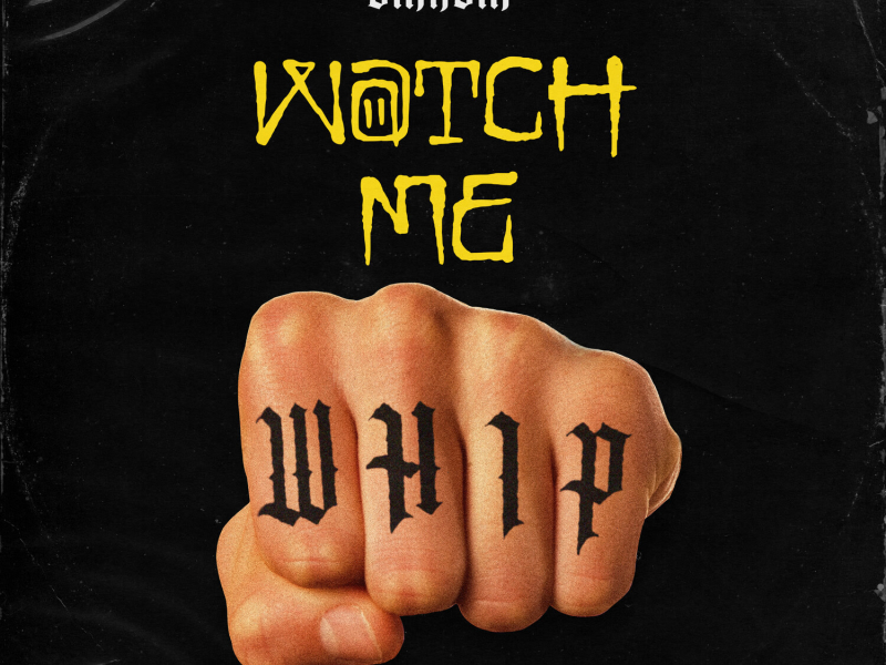 Watch Me Whip (Single)