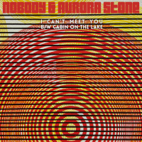 I Can't Meet You / Cabin on the Lake (EP)