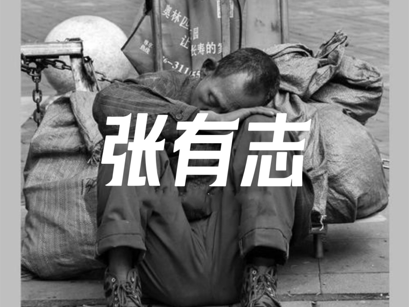 张有志 (面会菜旋律版) (Single)