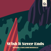 Wish it Never Ends (Single)