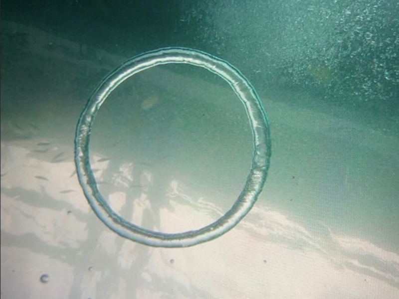 back to the past (Single)