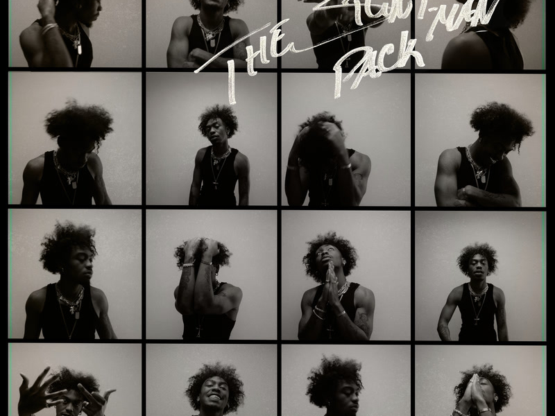 THE STUNT-MAN PACK (Single)