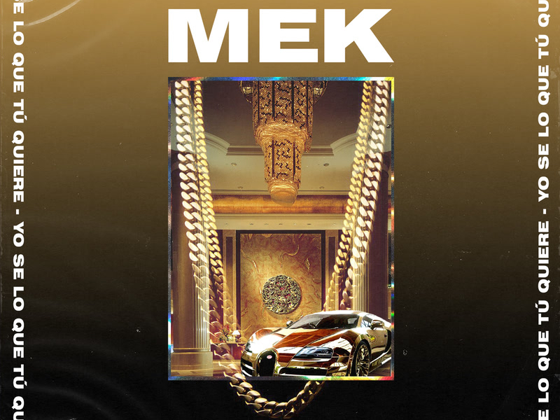 Yo Se Lo Que Tú Quiere (Single)