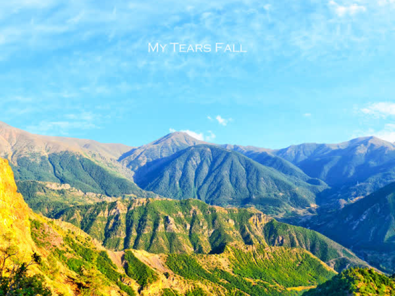My Tears Fall (Single)