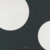 night flying bird (Single)