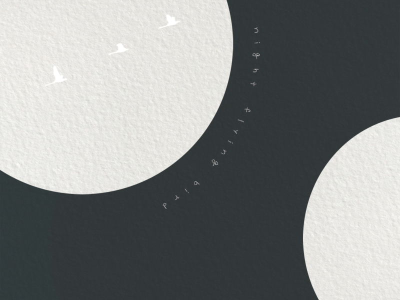 night flying bird (Single)