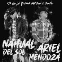 no se si quiero volver a verte (Single)