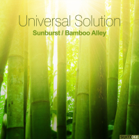 Sunburst / Bamboo Alley (Single)
