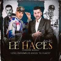 A Ver Cómo Le Haces (Versíon Banda) (Single)