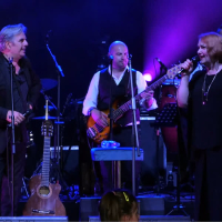 Luda Đelozija (Single)