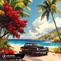 Lose Control (Single)