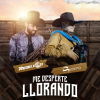 Me Desperte Llorando (Single)