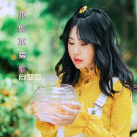 不如不爱你 (Single)