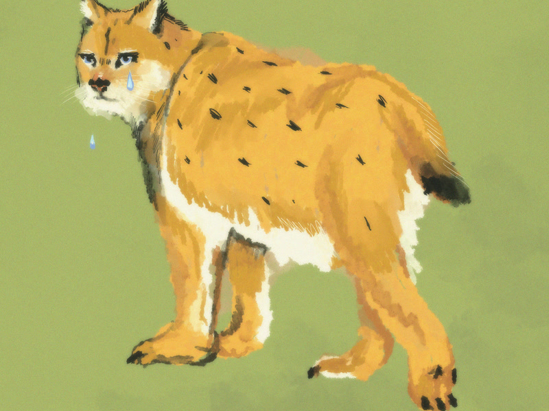 Ilves (Vain elämää kausi 12) (Single)