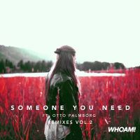 Someone You Need (feat. Otto Palmborg) [Remixes, Vol. 2] (Single)