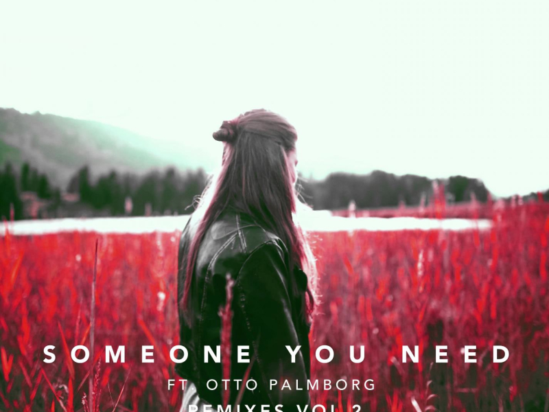 Someone You Need (feat. Otto Palmborg) [Remixes, Vol. 2] (Single)