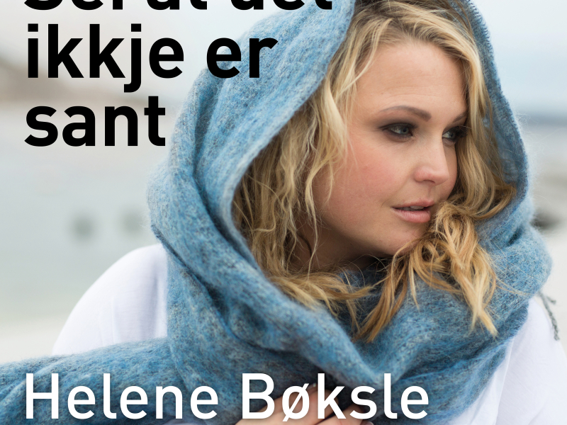 Sei at det ikkje er sant (Single)