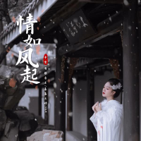 情如风起 (DJ版) (Single)