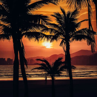 异客他乡 (Single)