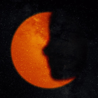 The Night Has Just Begun (Single)