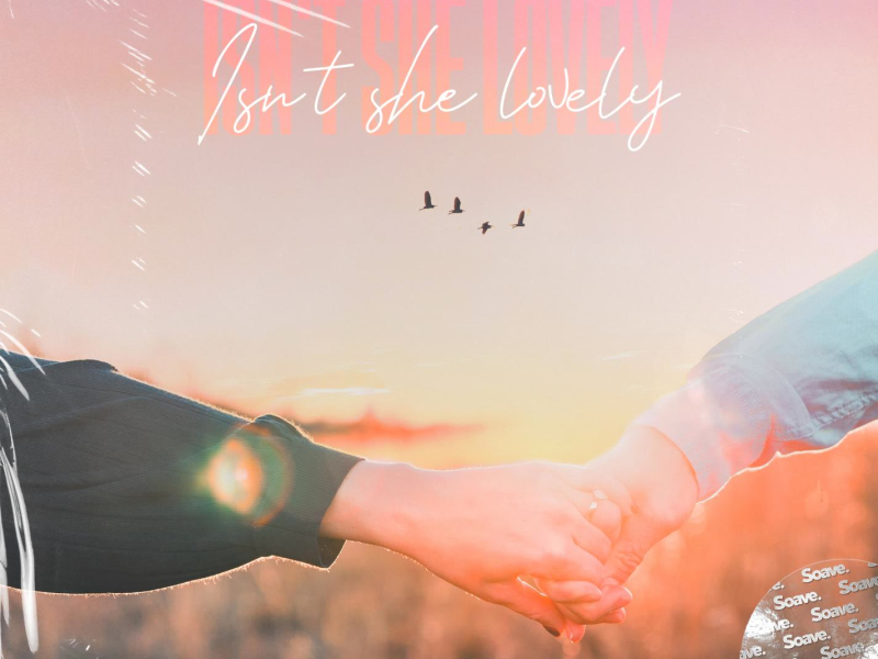 Isn't She Lovely (Single)