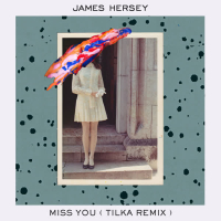 Miss You (Tilka Remix) (Single)