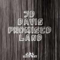 Promised Land 2010 (Traxsource Edition)