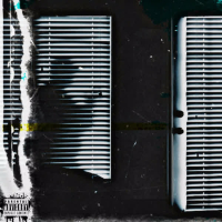 Noćne ptice (Single)