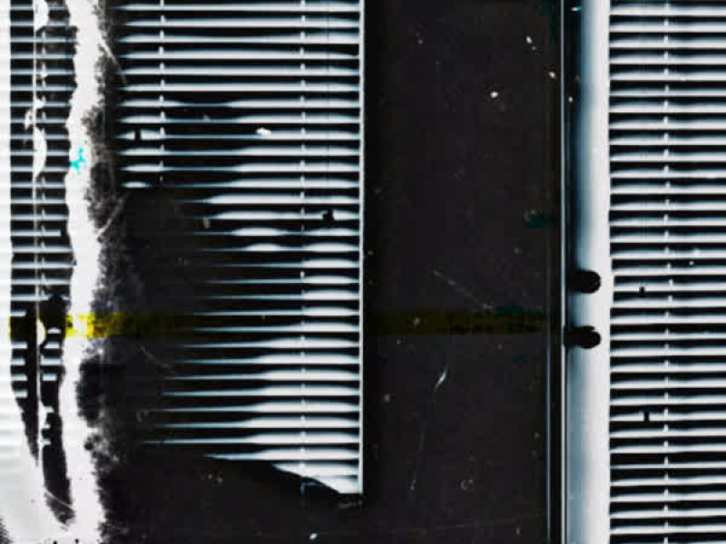 Noćne ptice (Single)