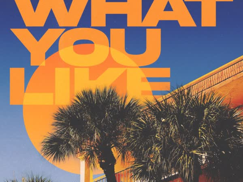 What You Like (Single)