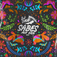 Sabes Muy Bien (DJ Shub Remix) (Single)