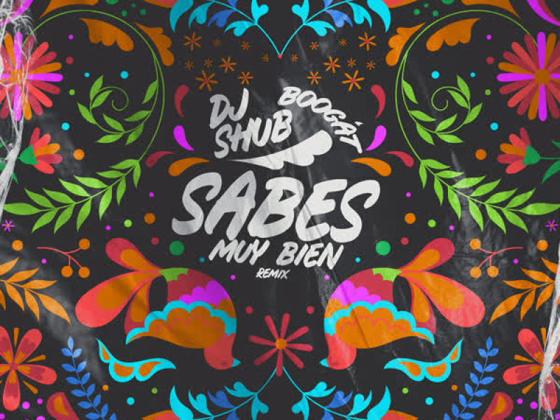 Sabes Muy Bien (DJ Shub Remix) (Single)
