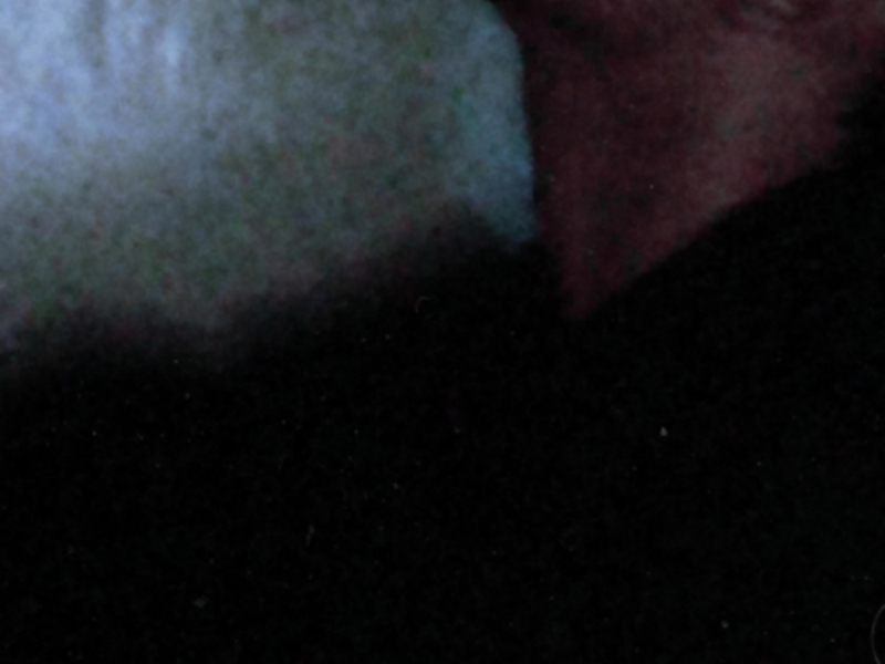 another life (Single)