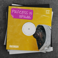 PROCESS 15 (Hybrid Hip Hop Dramedy) (EP)