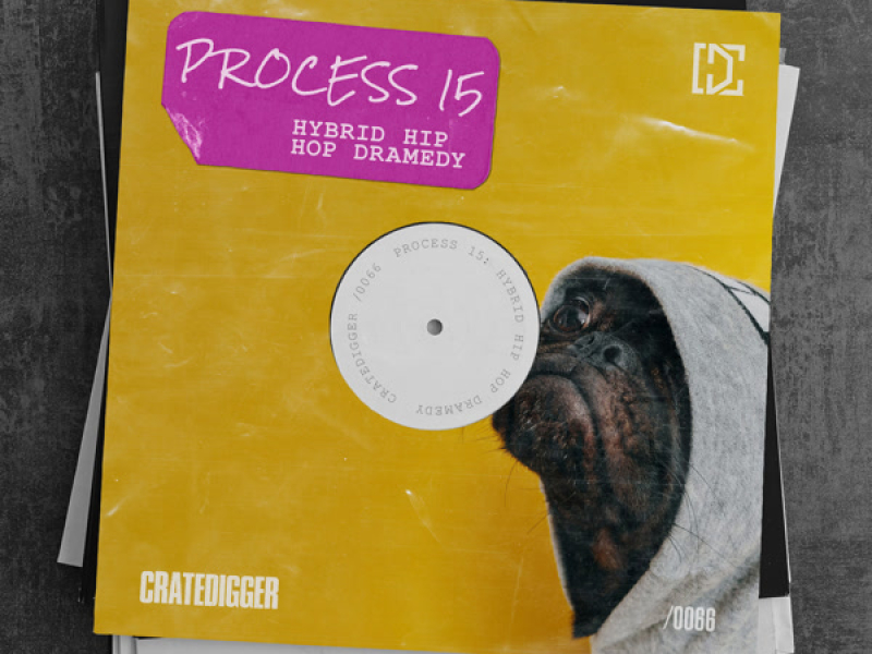 PROCESS 15 (Hybrid Hip Hop Dramedy) (EP)